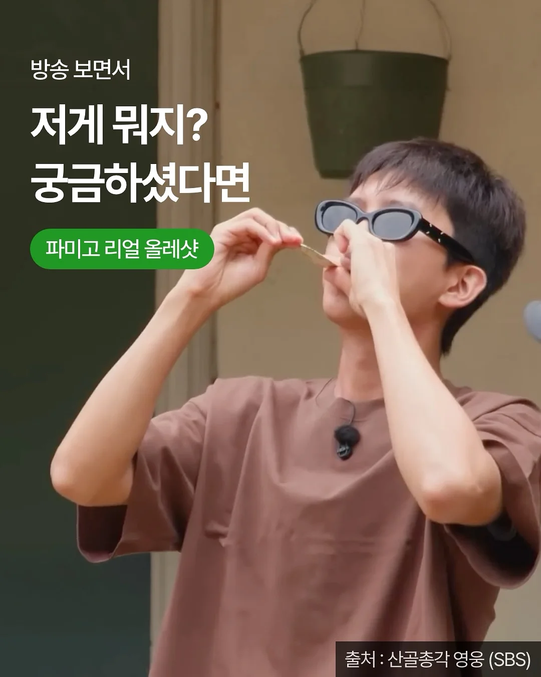 브랜든 세이프 데이즈 토트백 2