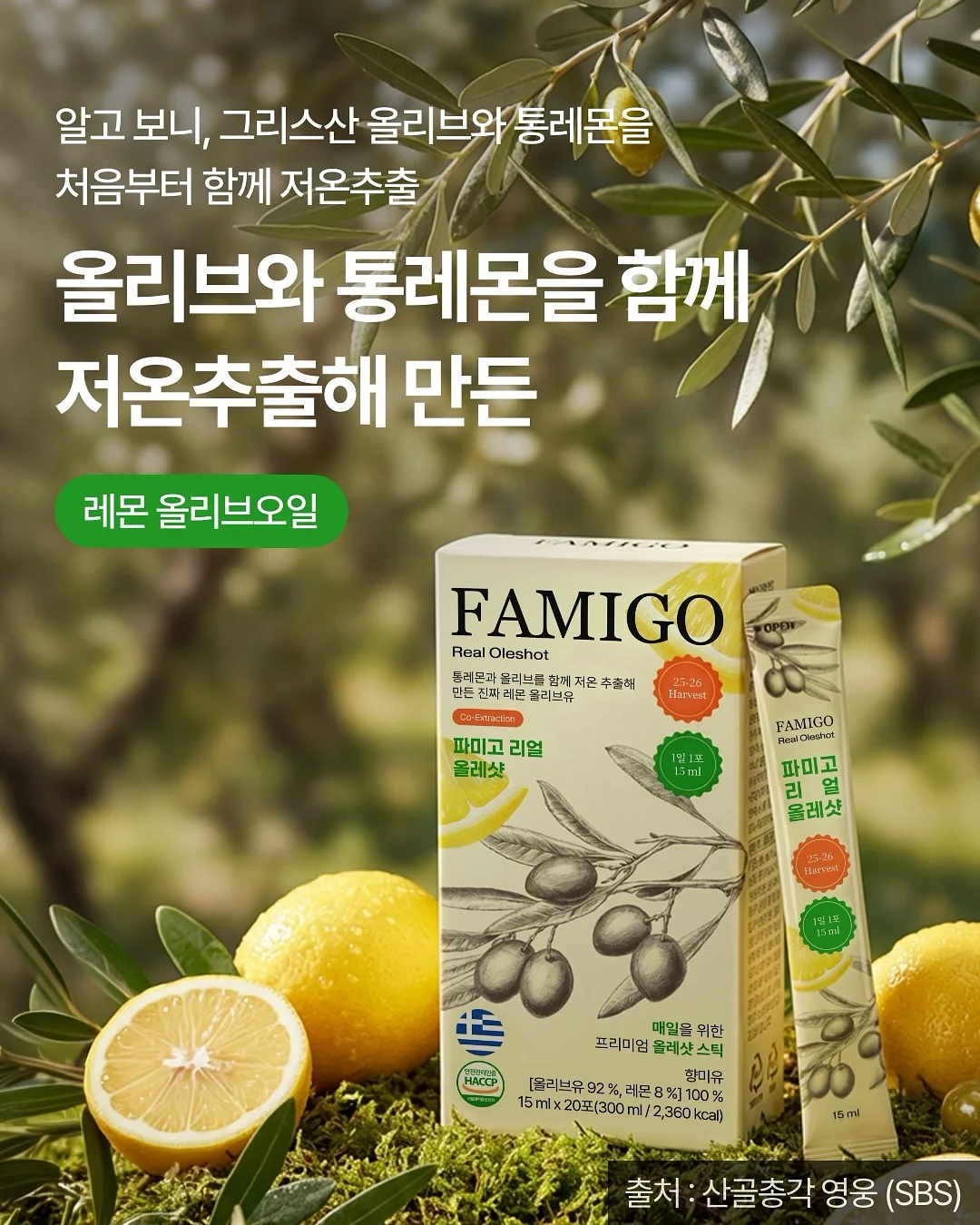 브랜든 세이프 데이즈 토트백 4