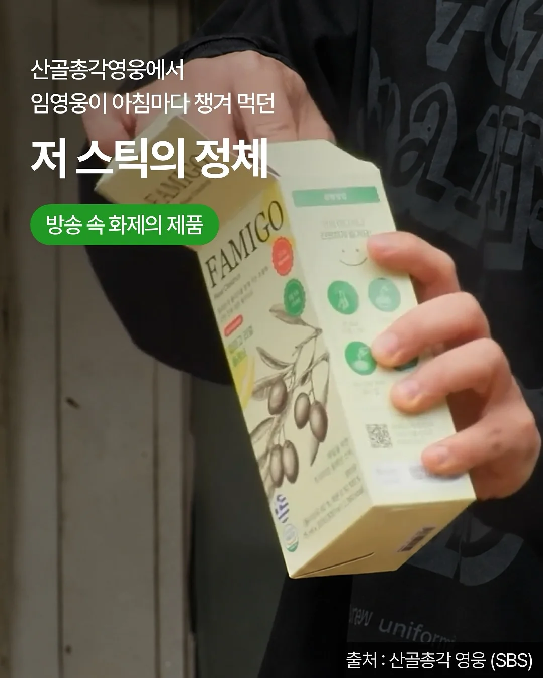 브랜든 세이프 데이즈 토트백 5
