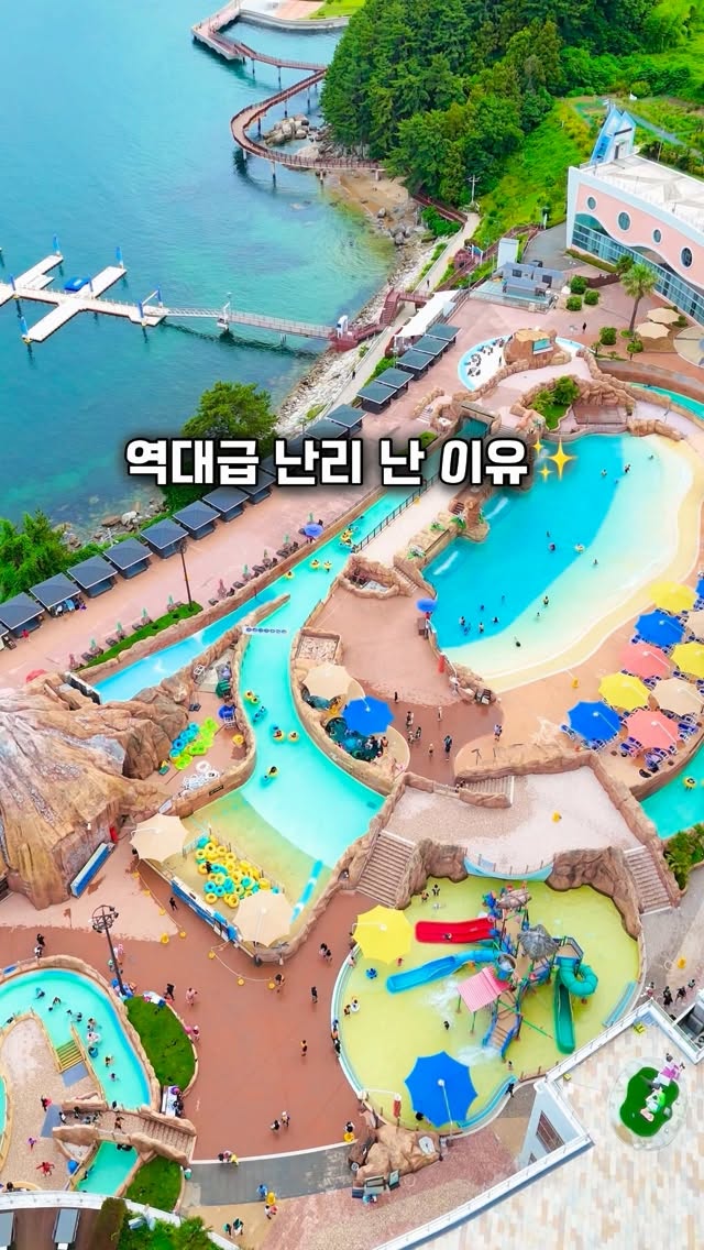 망고맛 복숭아 옐로드림