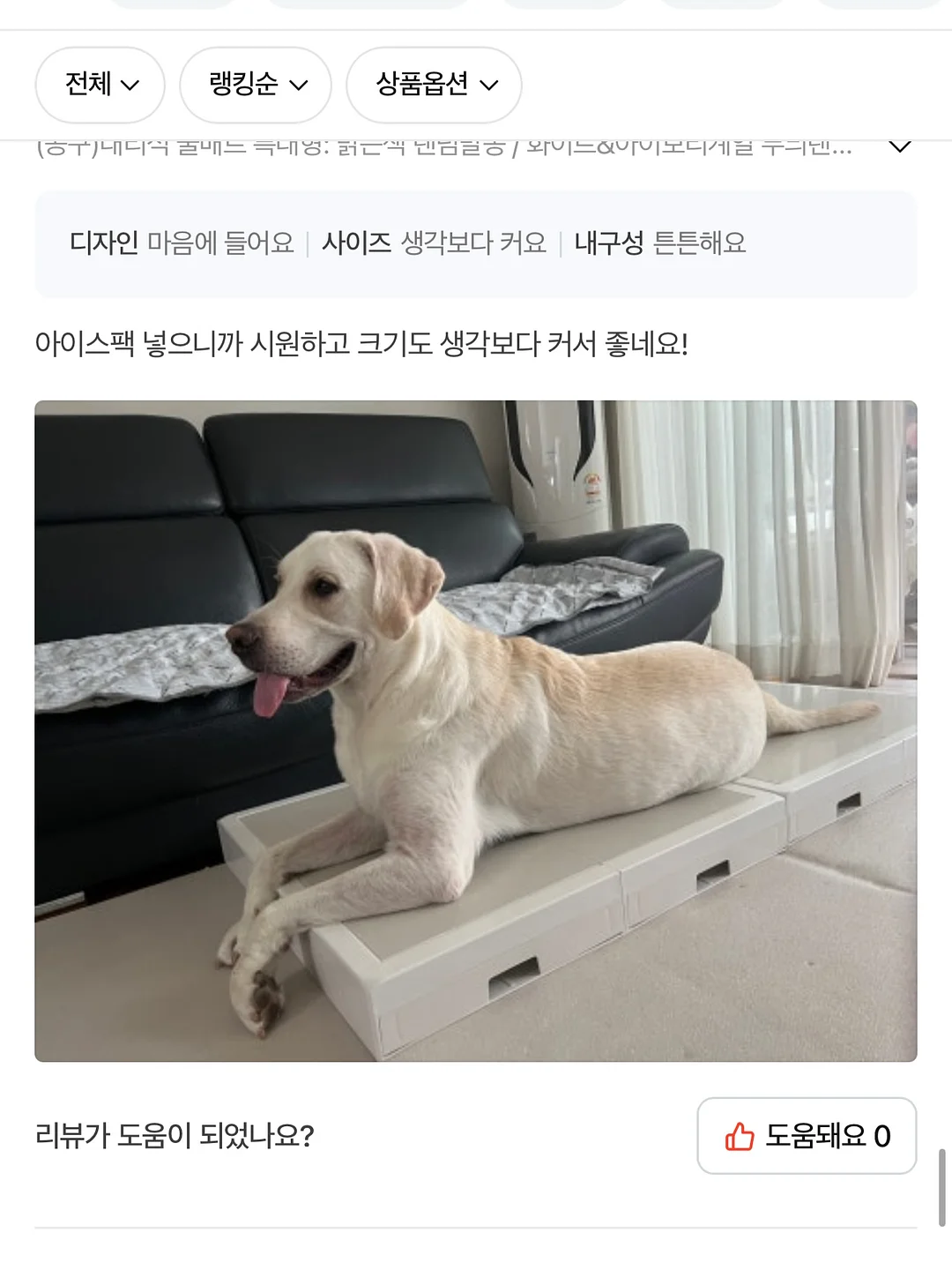 킨스 판테놀 로션 11