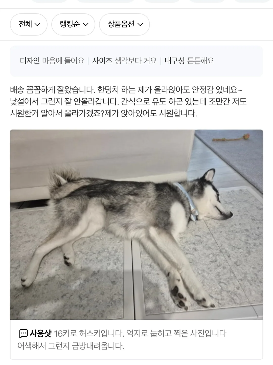 킨스 판테놀 로션 13