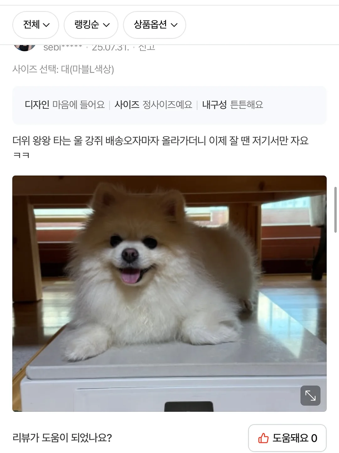 킨스 판테놀 로션 19