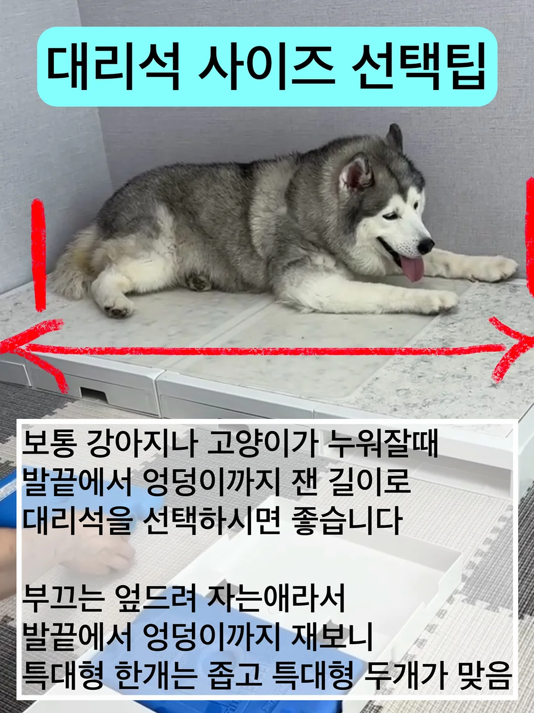 킨스 판테놀 로션 3