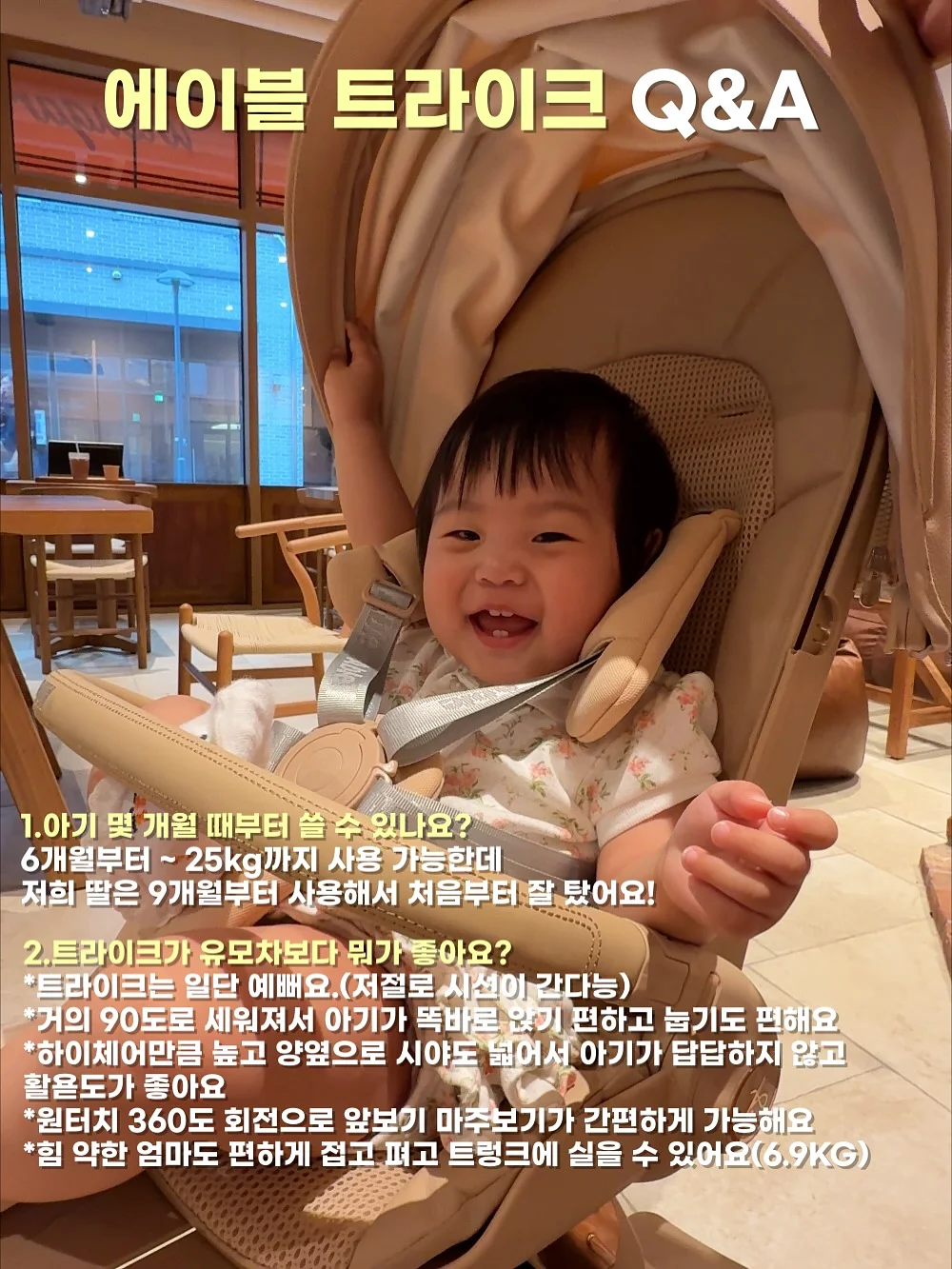 냥이 장난감 16