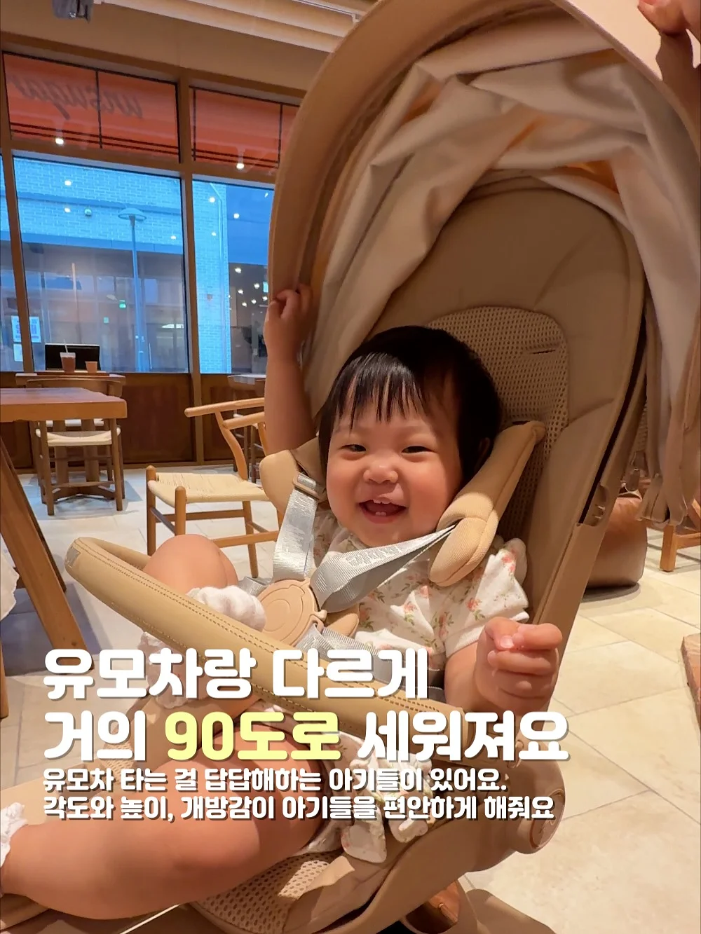 냥이 장난감 2