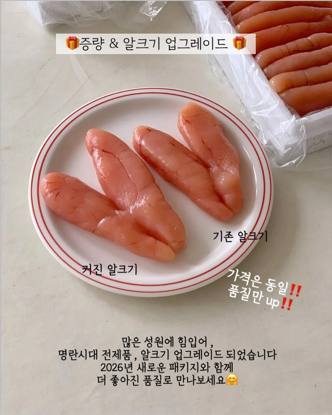 스텔라 맥카트니 전품목 4