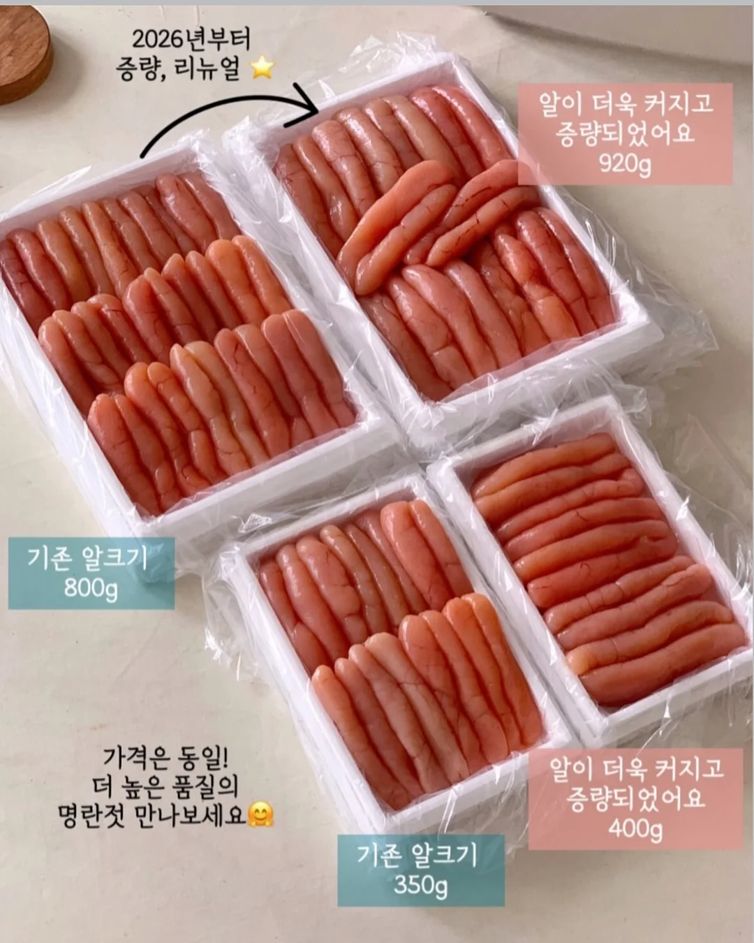 스텔라 맥카트니 전품목 5