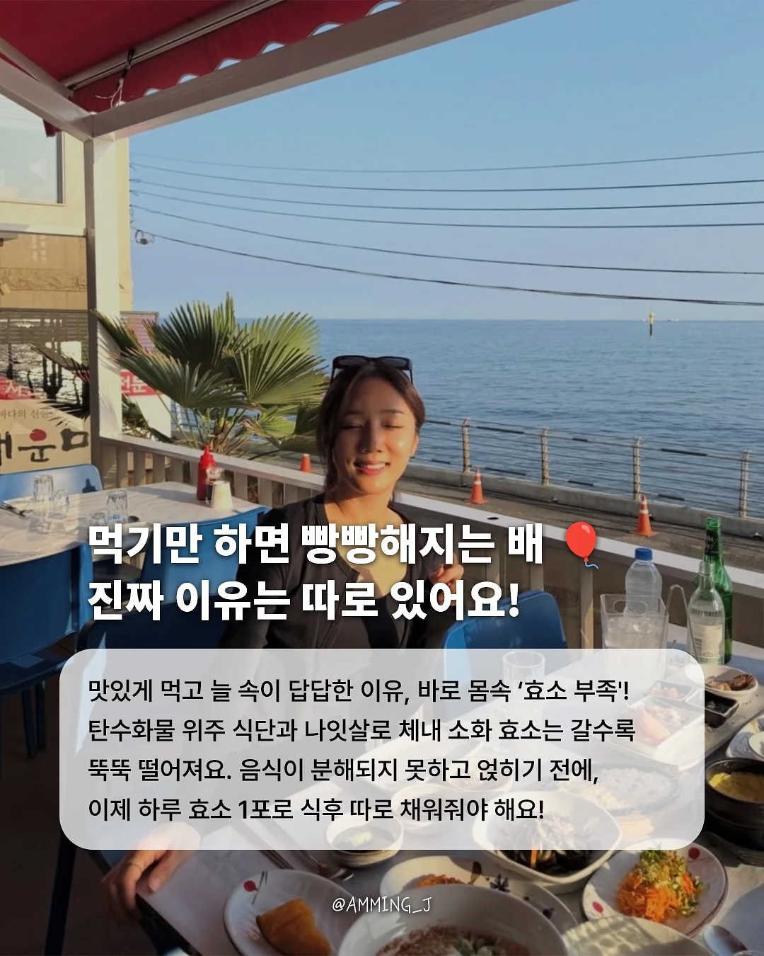 피에고 힙시트 & 아기띠, 피에고 유모차 & 미니웨건 2