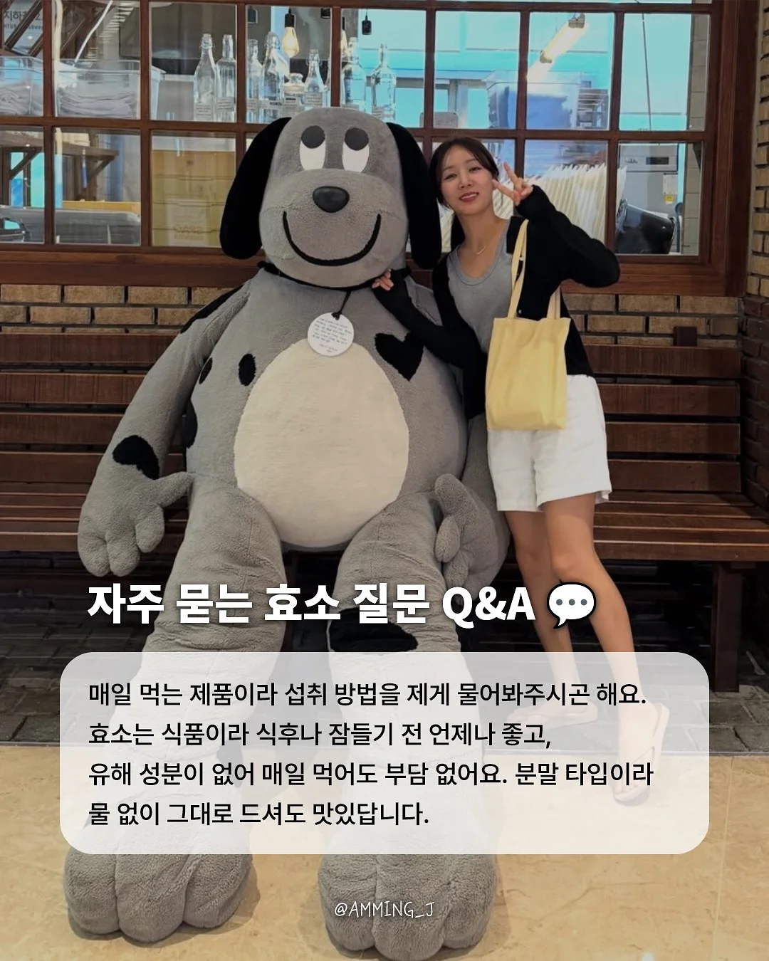 피에고 힙시트 & 아기띠, 피에고 유모차 & 미니웨건 8