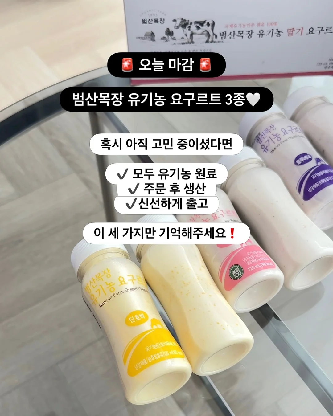 월간미선생 7-8월 프로그램 2