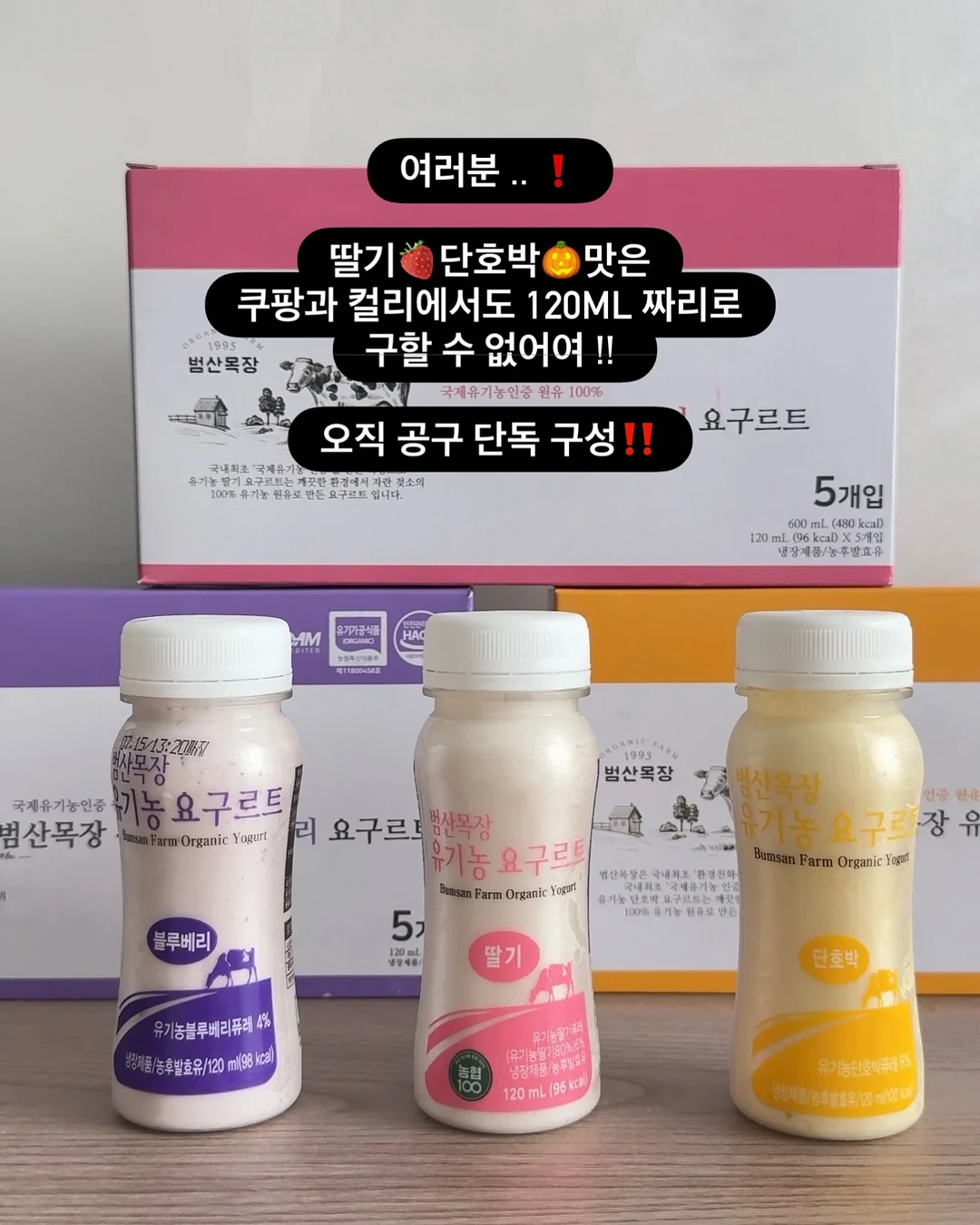 월간미선생 7-8월 프로그램 3