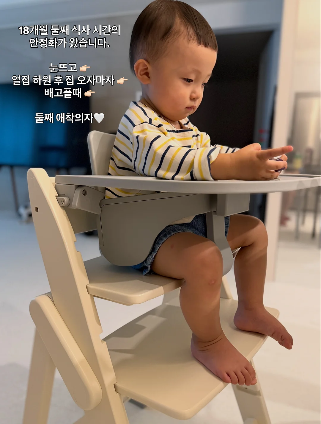 쿠션 6