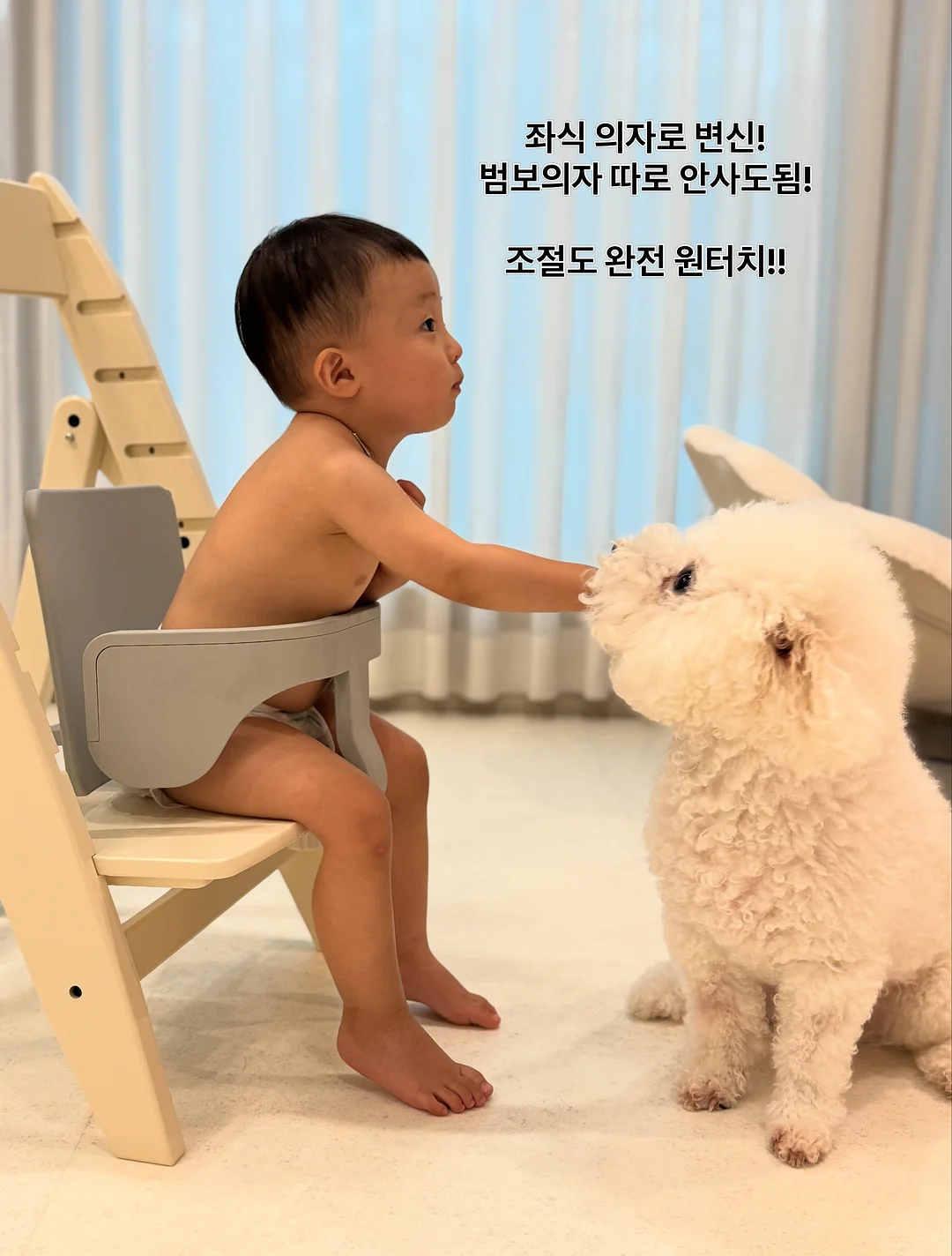 쿠션 7