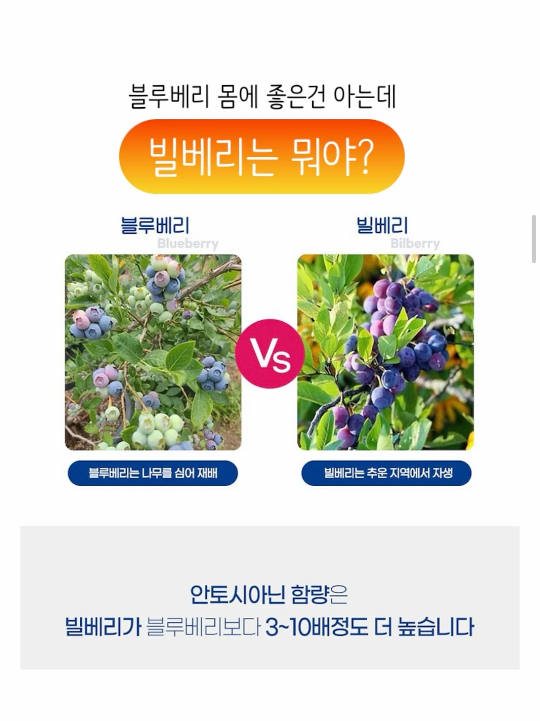 블루 봉봉 원피스 4