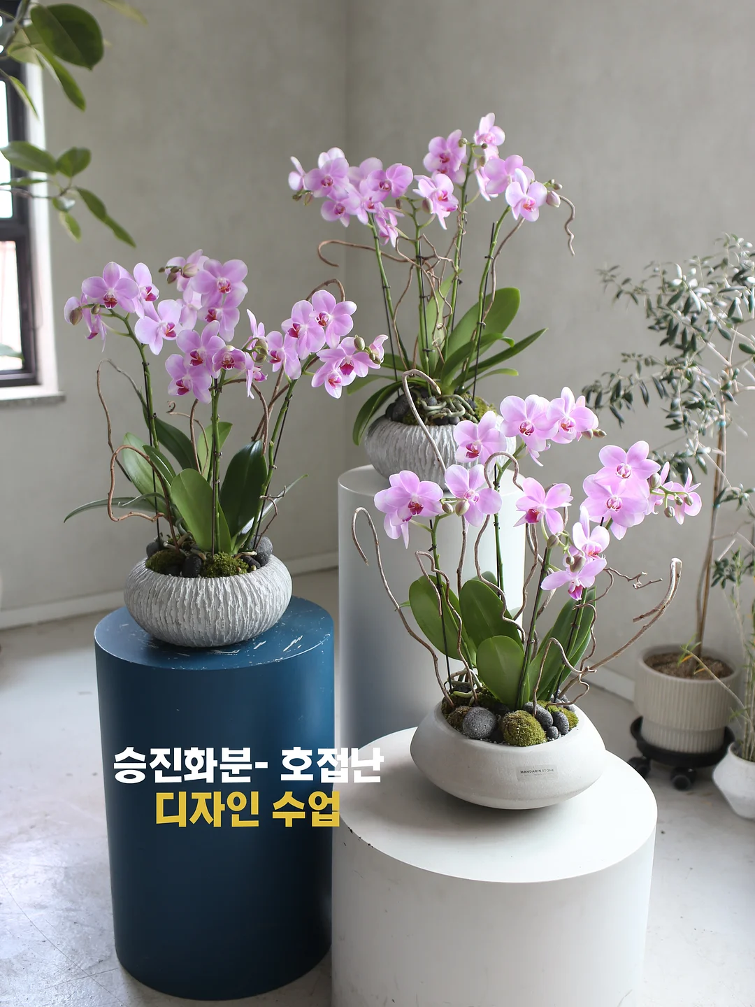 Readdy.ai 홈페이지 제작 1