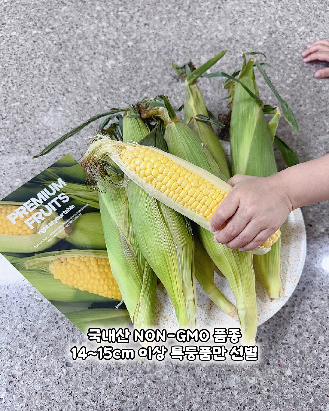 도제식빵 초코 모닝빵 5