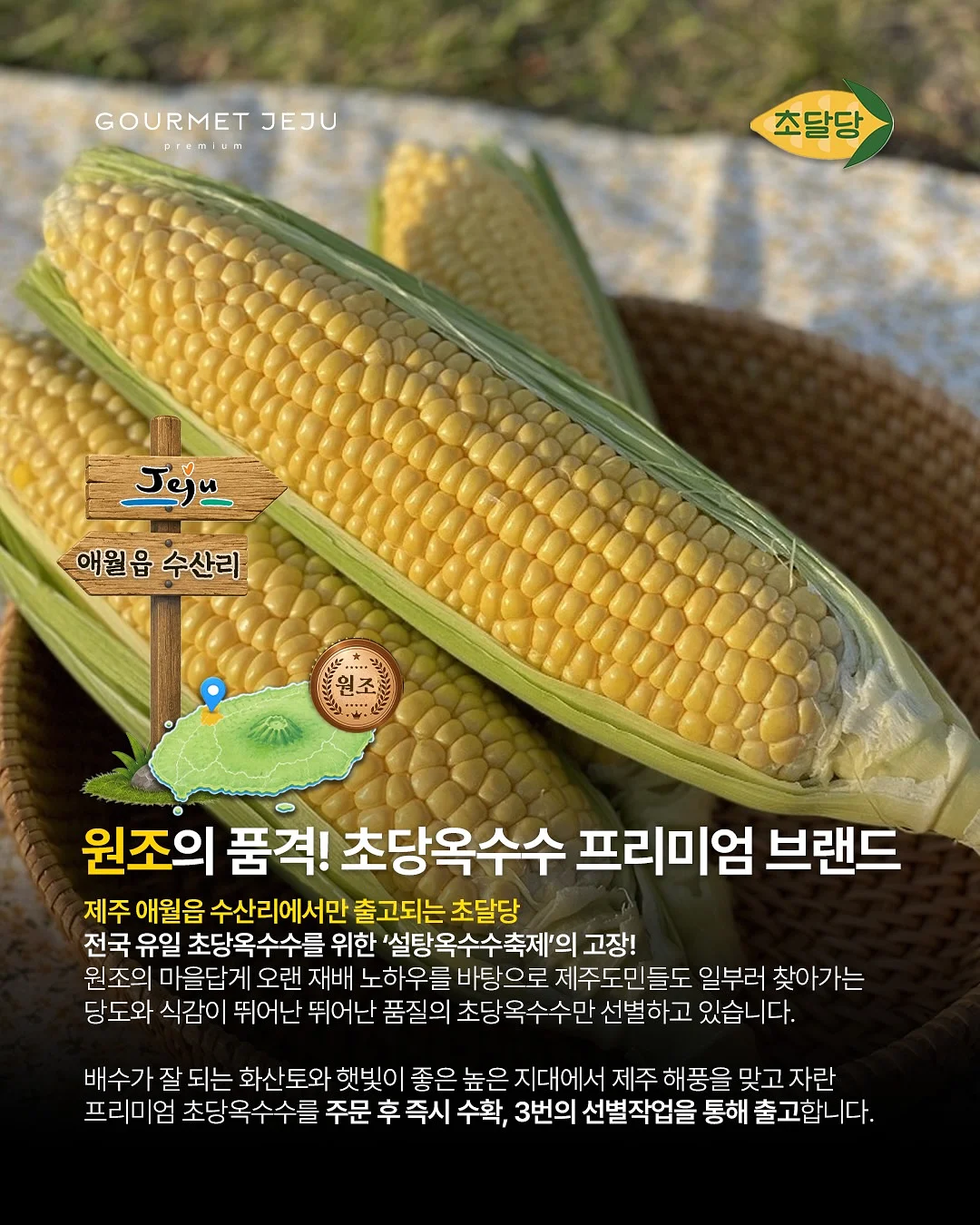 옴모크레용 베이비 1