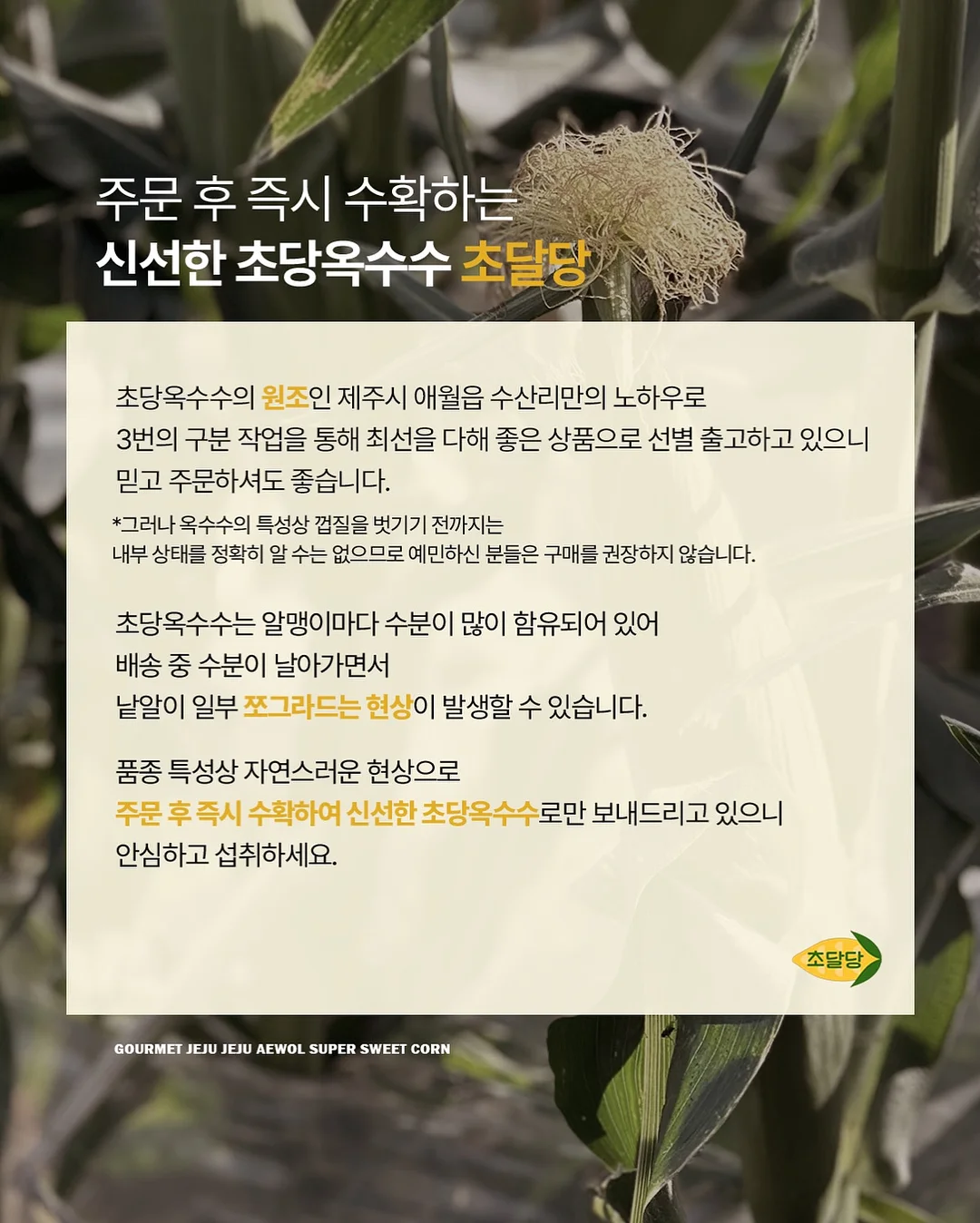 옴모크레용 베이비 15