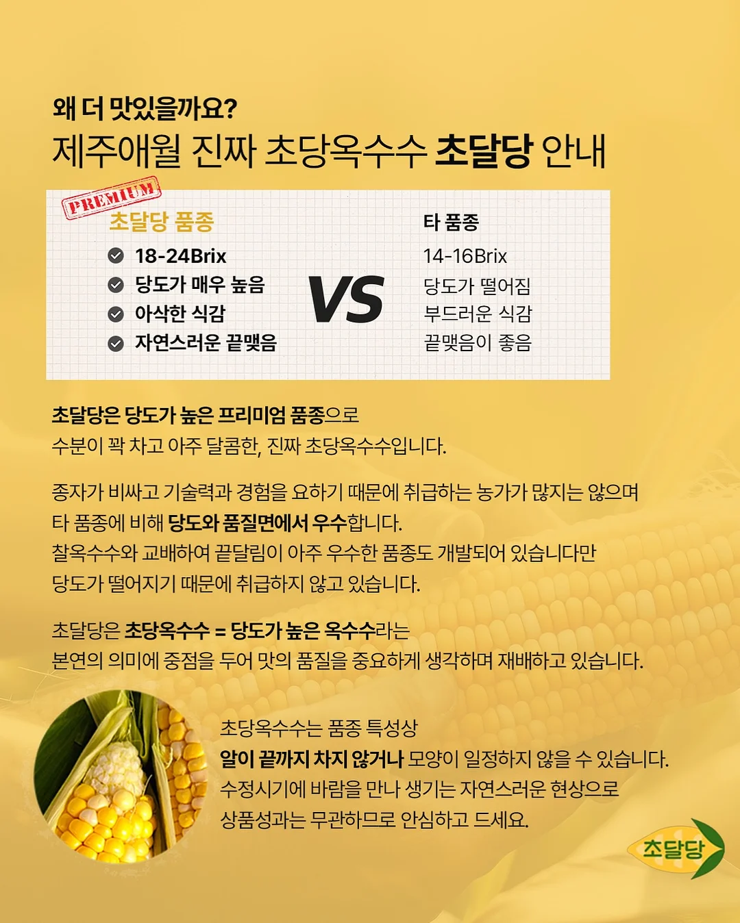 옴모크레용 베이비 16