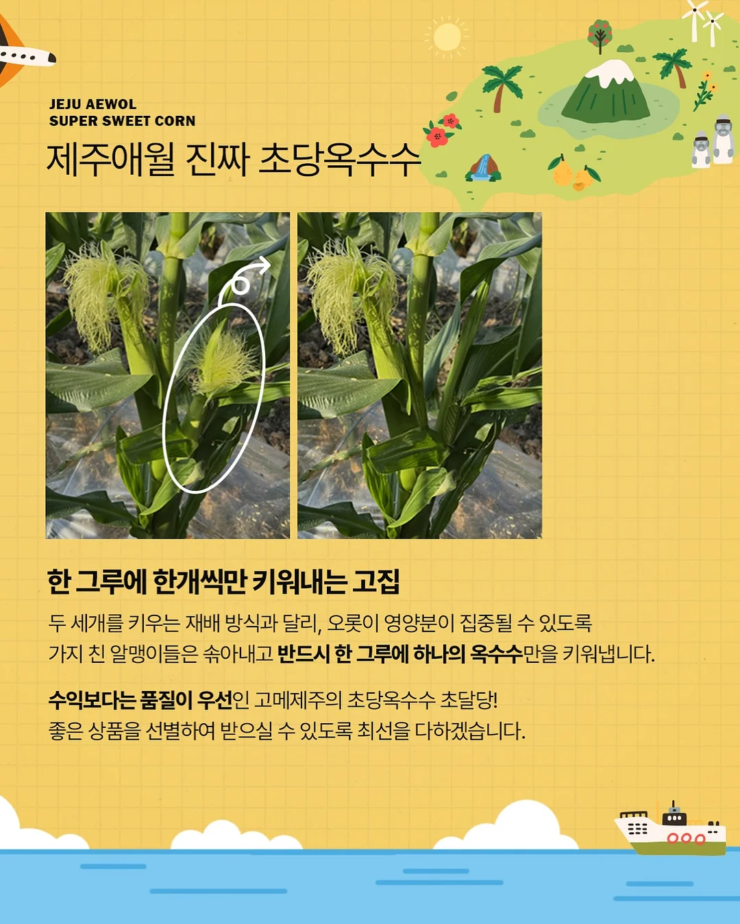 옴모크레용 베이비 17
