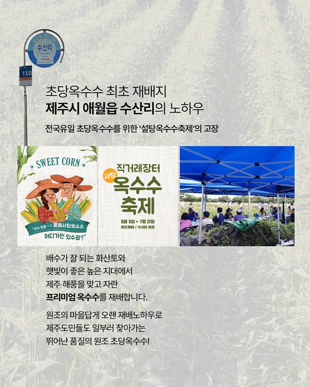 옴모크레용 베이비 18