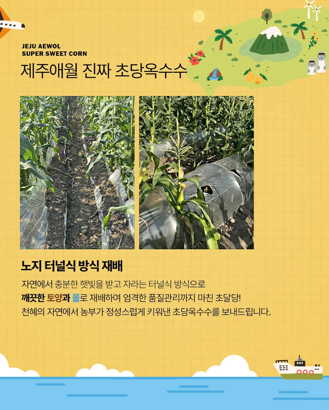 옴모크레용 베이비 19