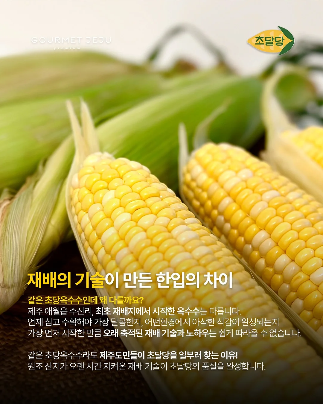 옴모크레용 베이비 2