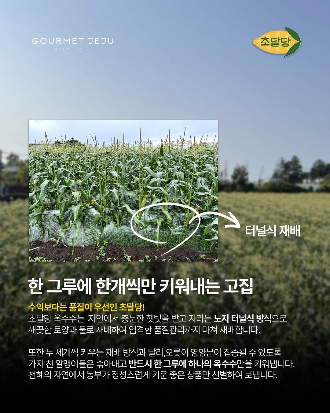 옴모크레용 베이비 3