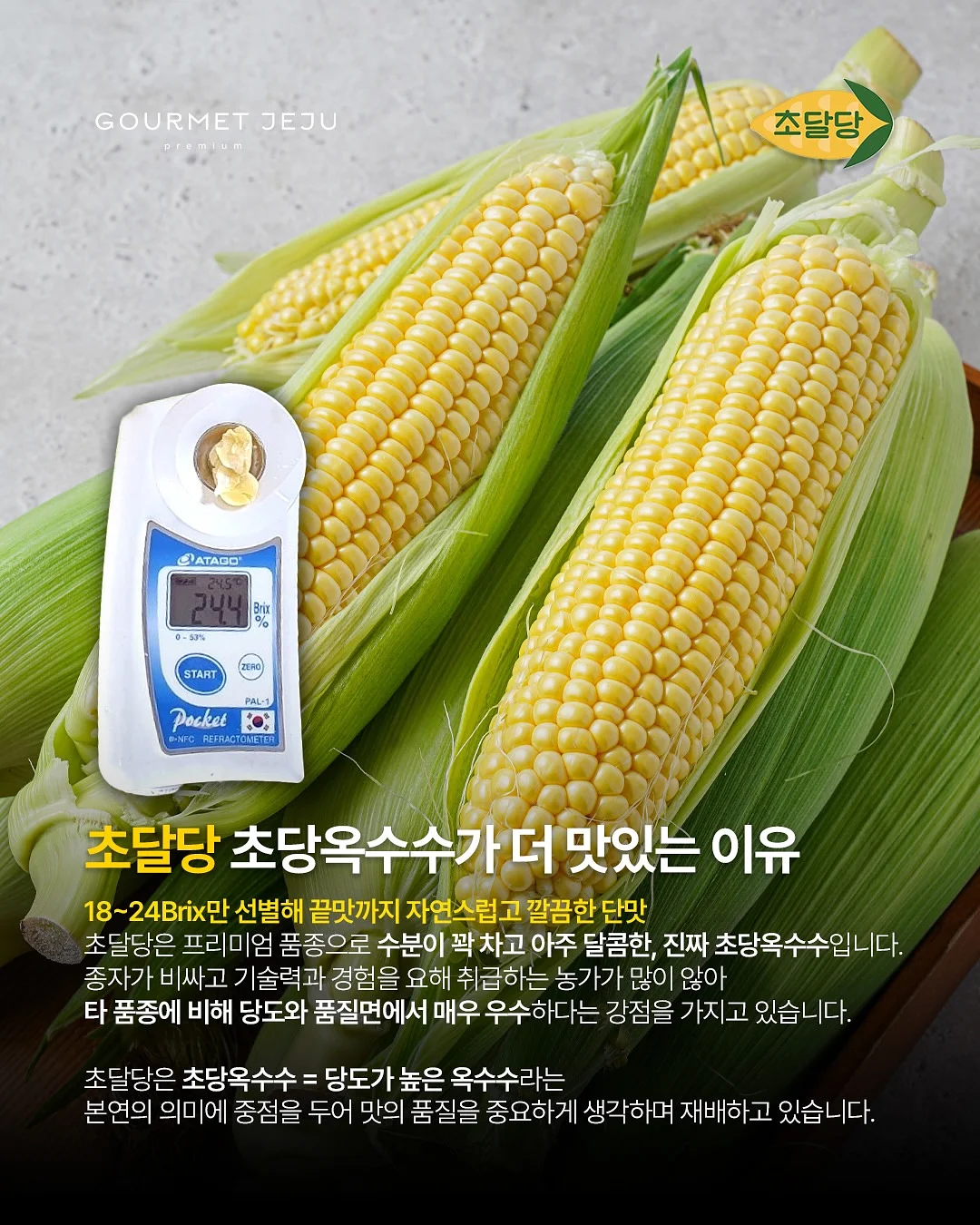 옴모크레용 베이비 4
