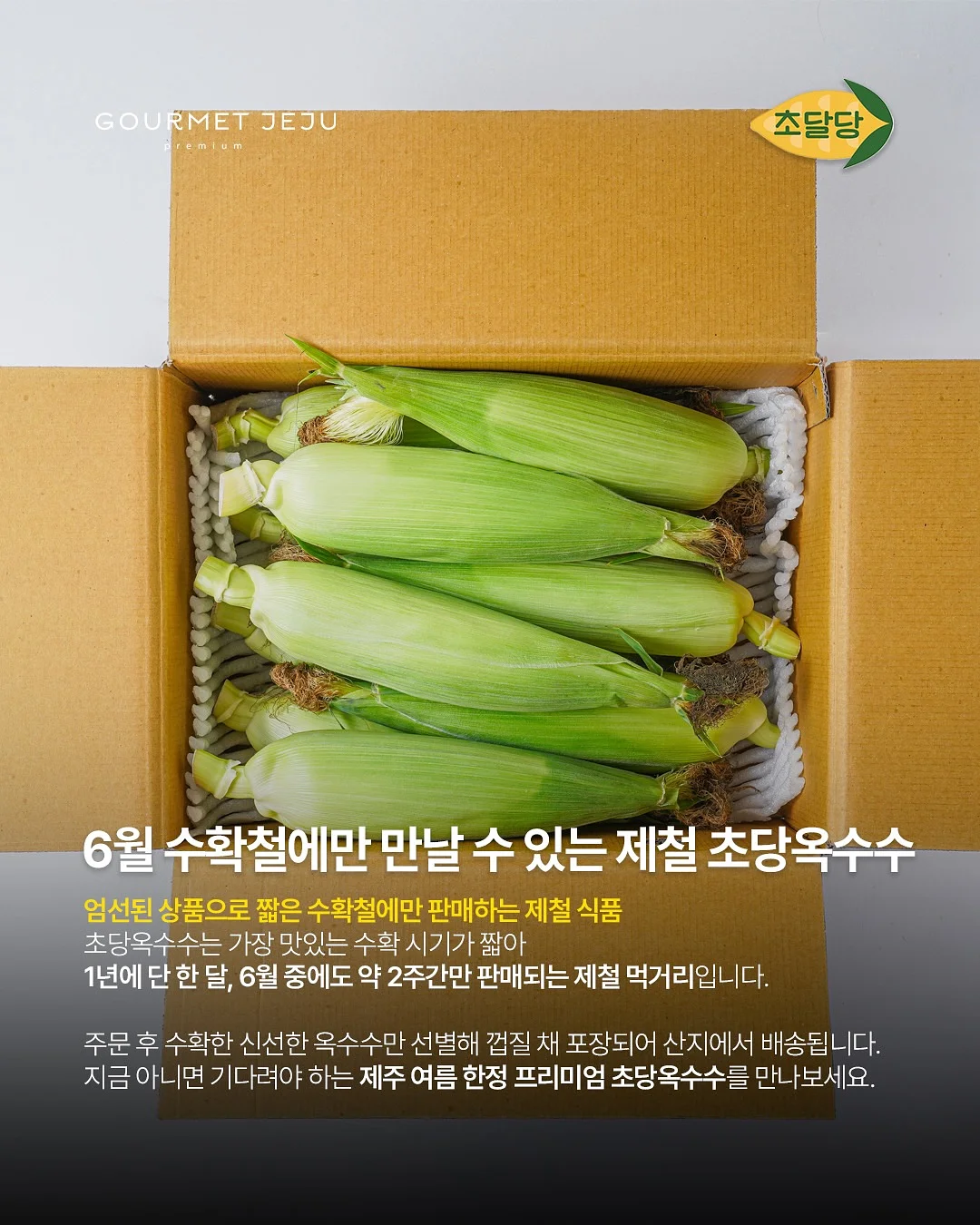 옴모크레용 베이비 7