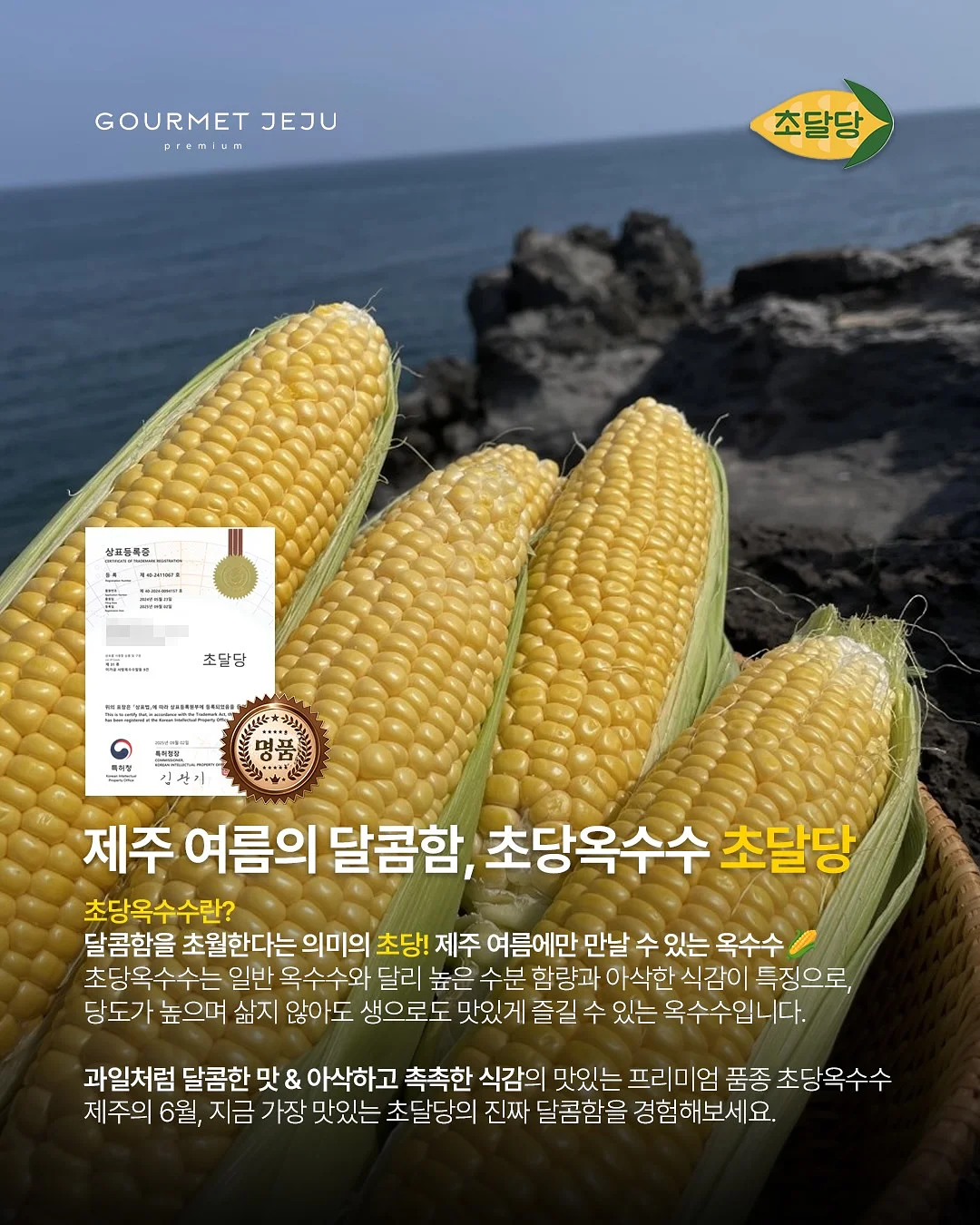 옴모크레용 베이비 8