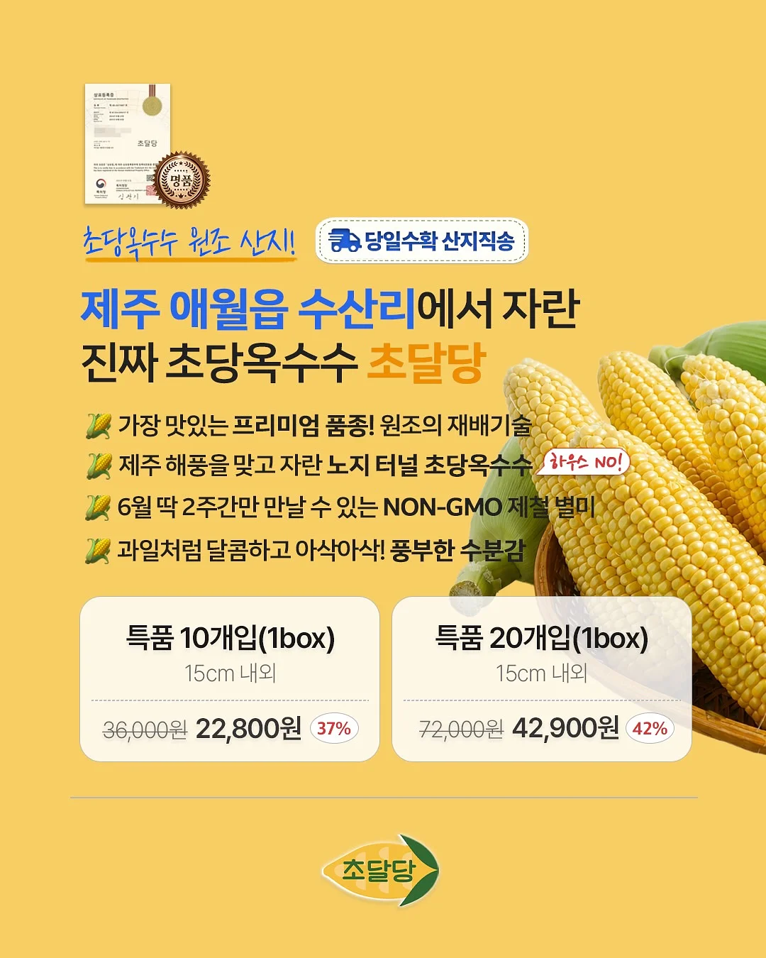 옴모크레용 베이비 9