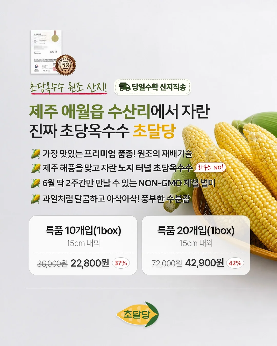옴모크레용 베이비 10
