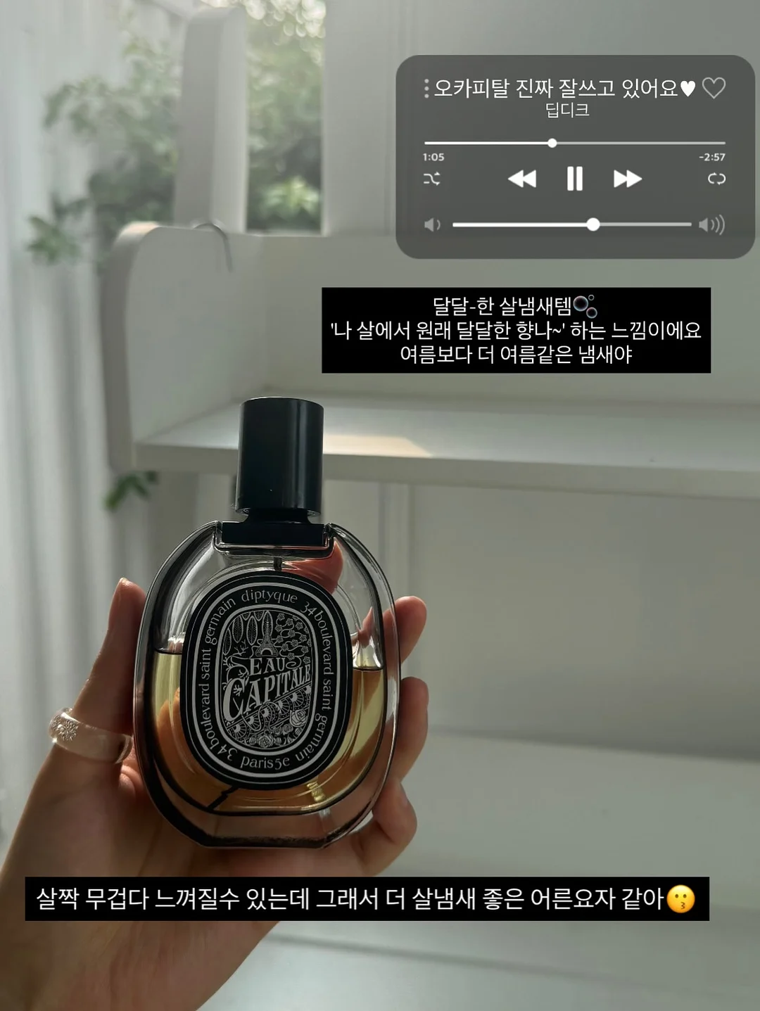 레드바나나 6