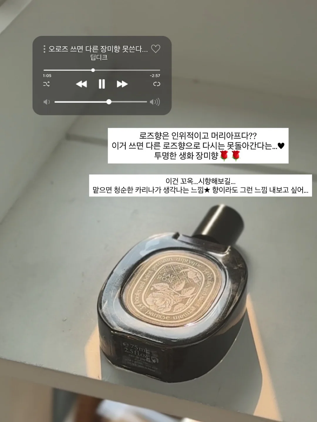 레드바나나 7