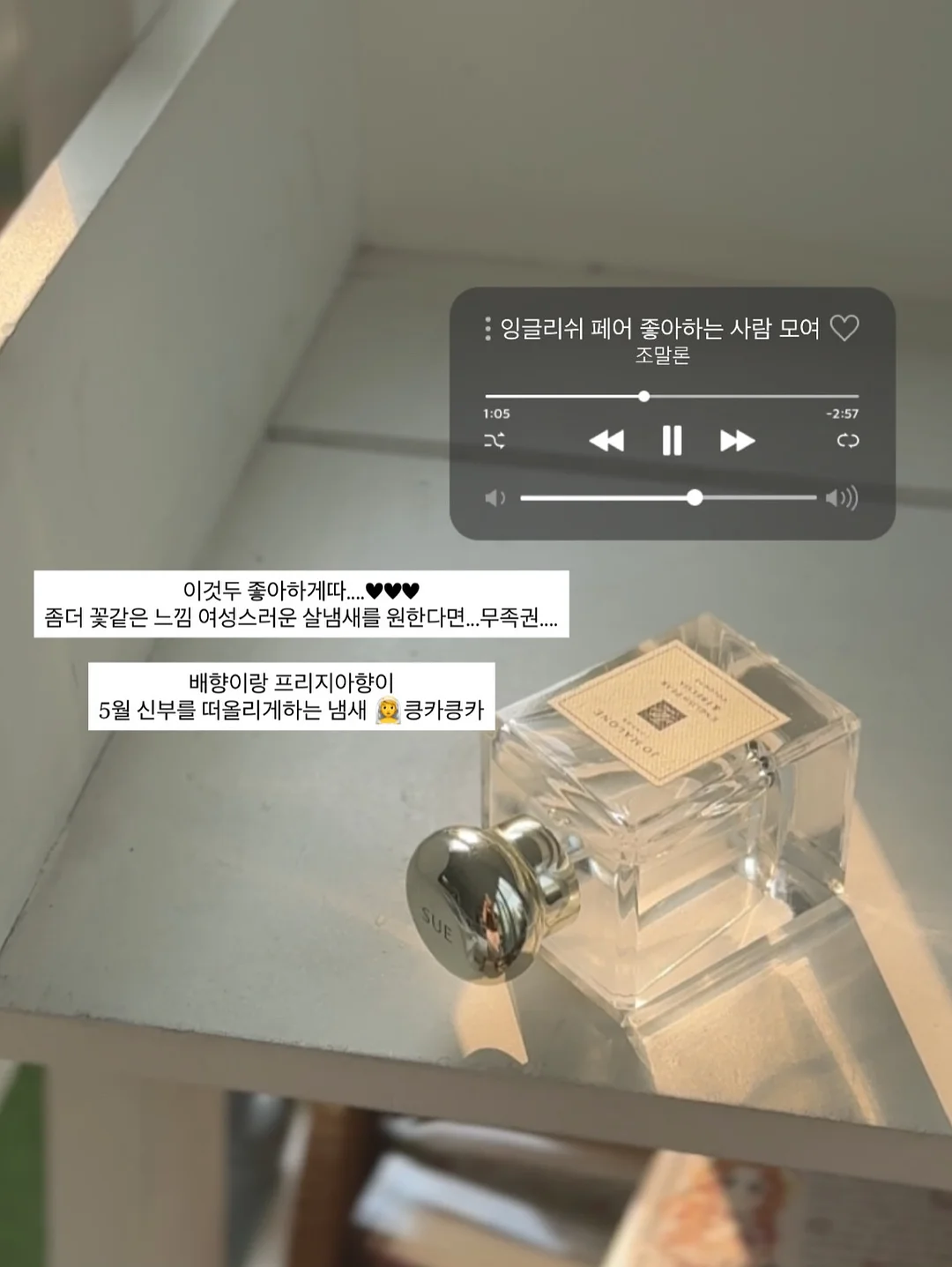 레드바나나 10