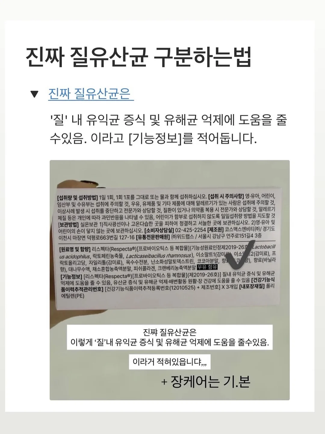 참외 4kg 13
