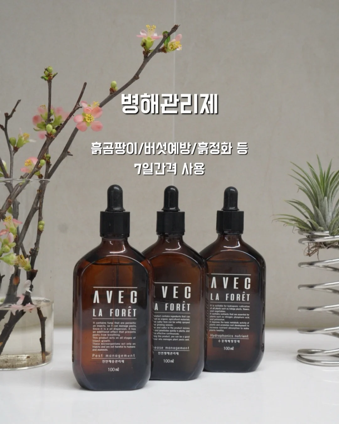 키즈 LP 토토 오디오 플레이어 15