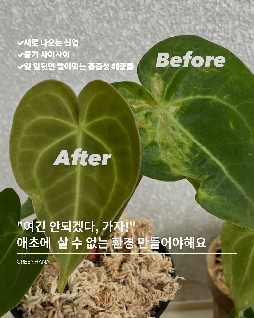 키즈 LP 토토 오디오 플레이어 3