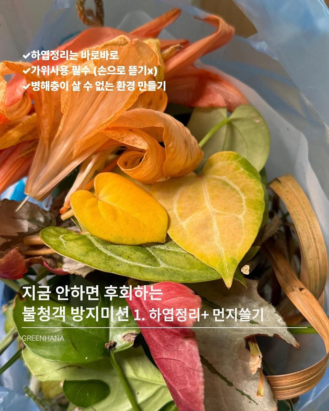 키즈 LP 토토 오디오 플레이어 4