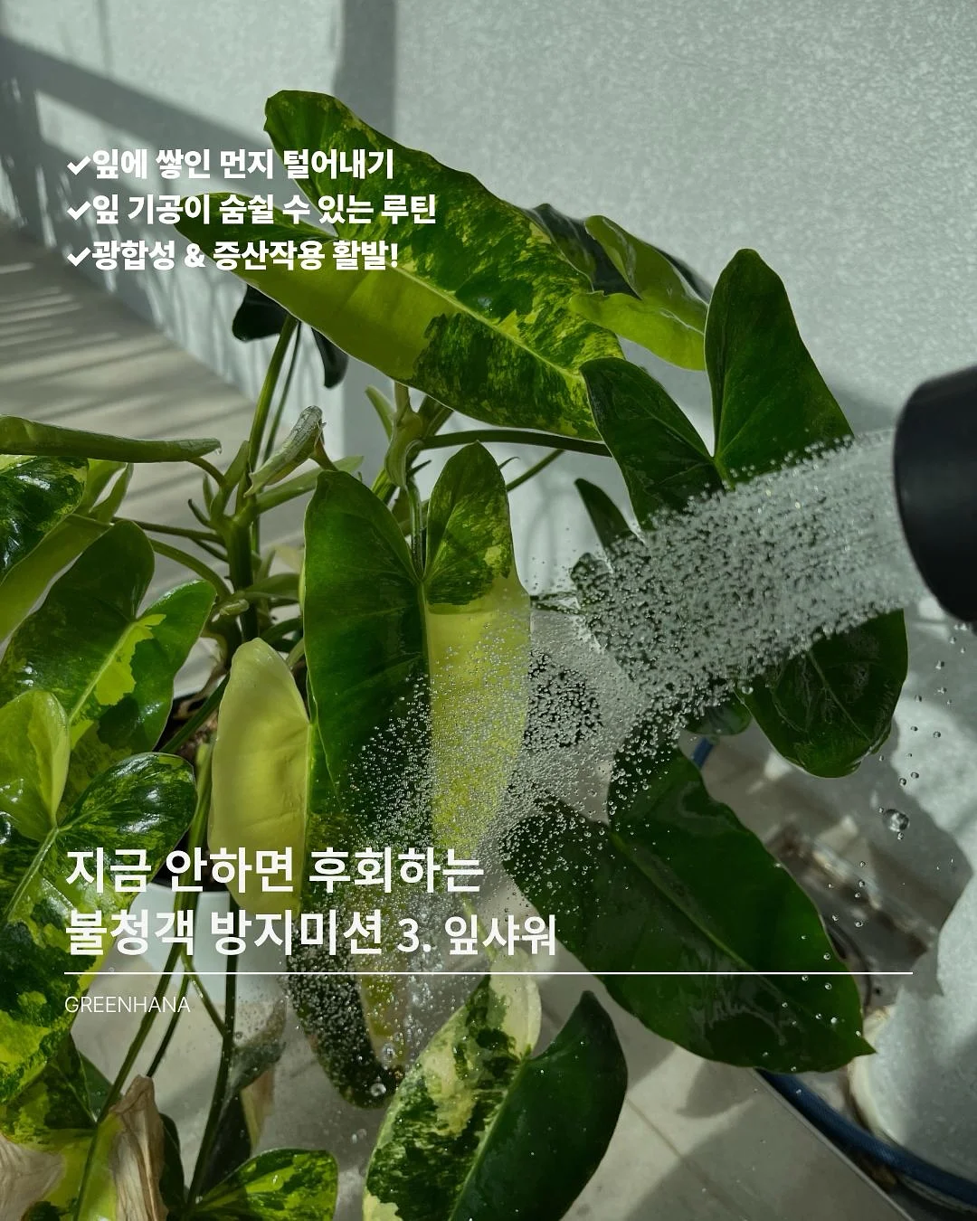 키즈 LP 토토 오디오 플레이어 9