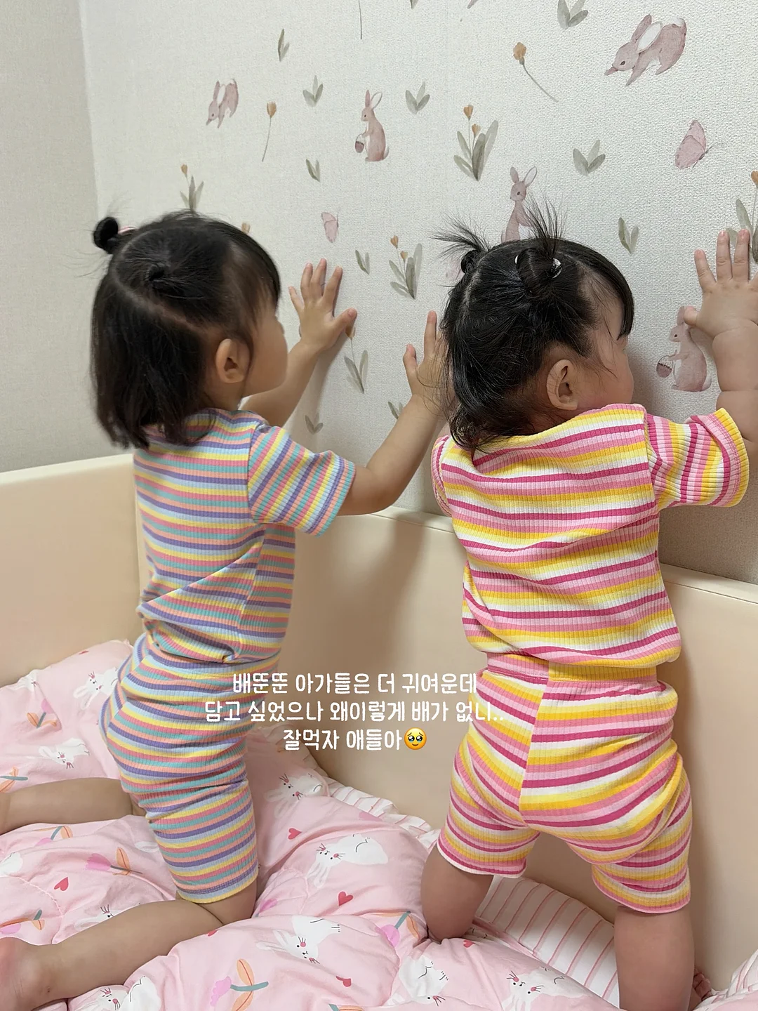 드레시아 선물 12