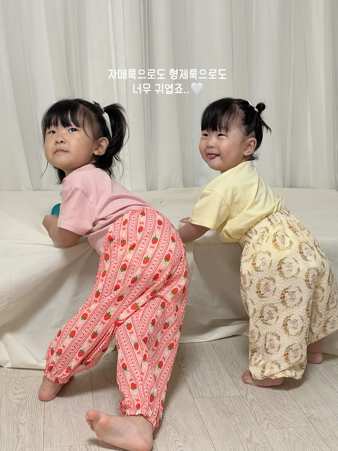 드레시아 선물 13