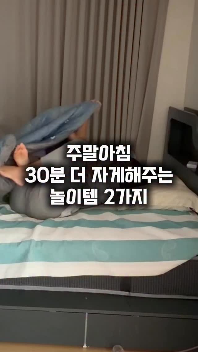 폴 토마스 앤더슨 감독 기획전