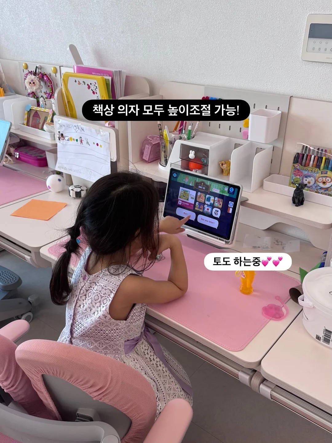 헤즐 세트 7
