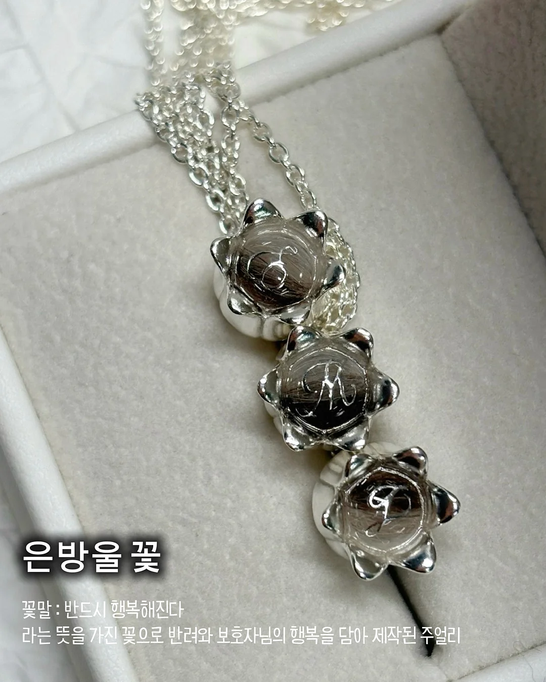 다진마늘 보관법 2