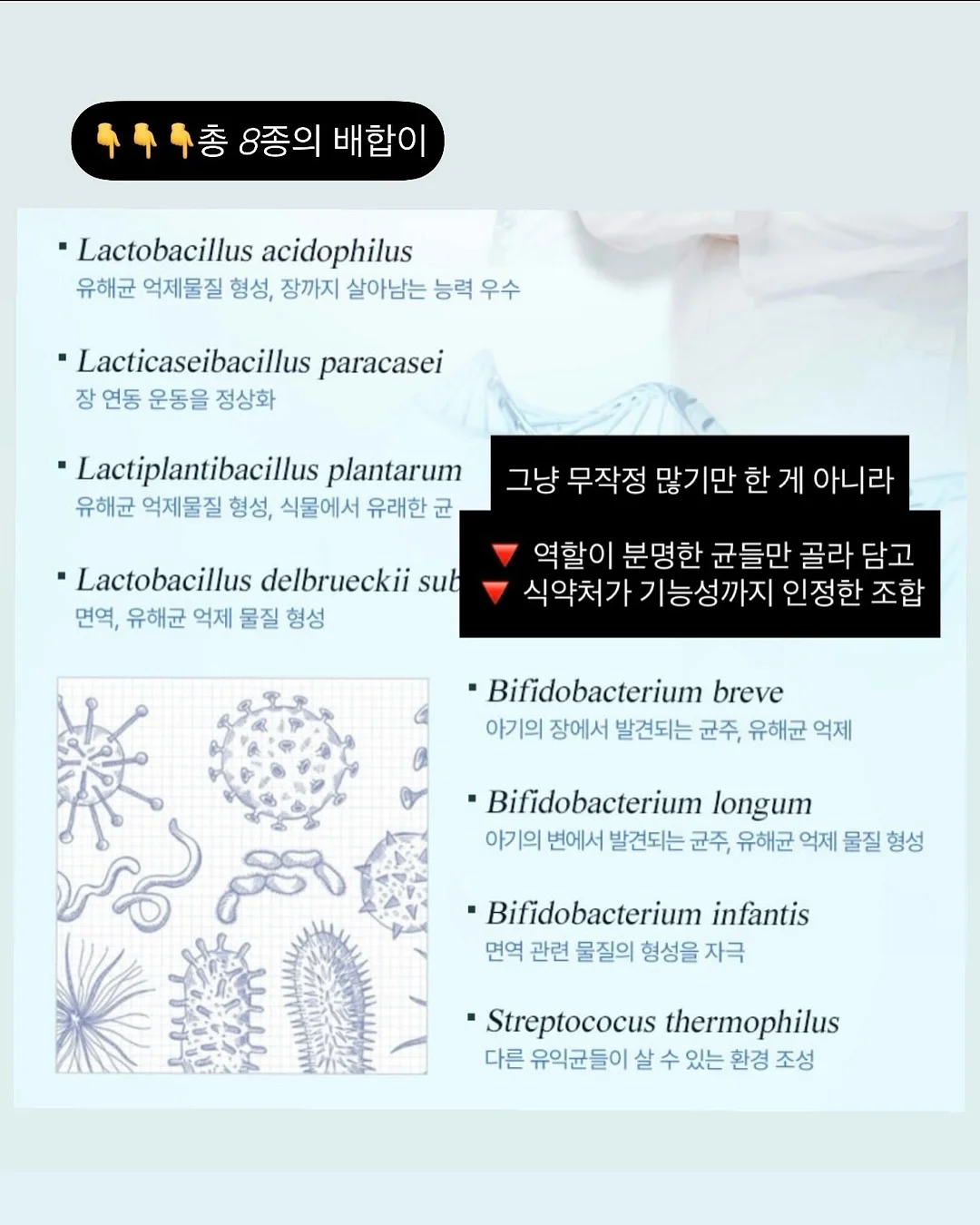 홈스타 핑크파워 욕실 찌든때 클리너, 홈스타 맥스 세면대 배수관 클리너 11