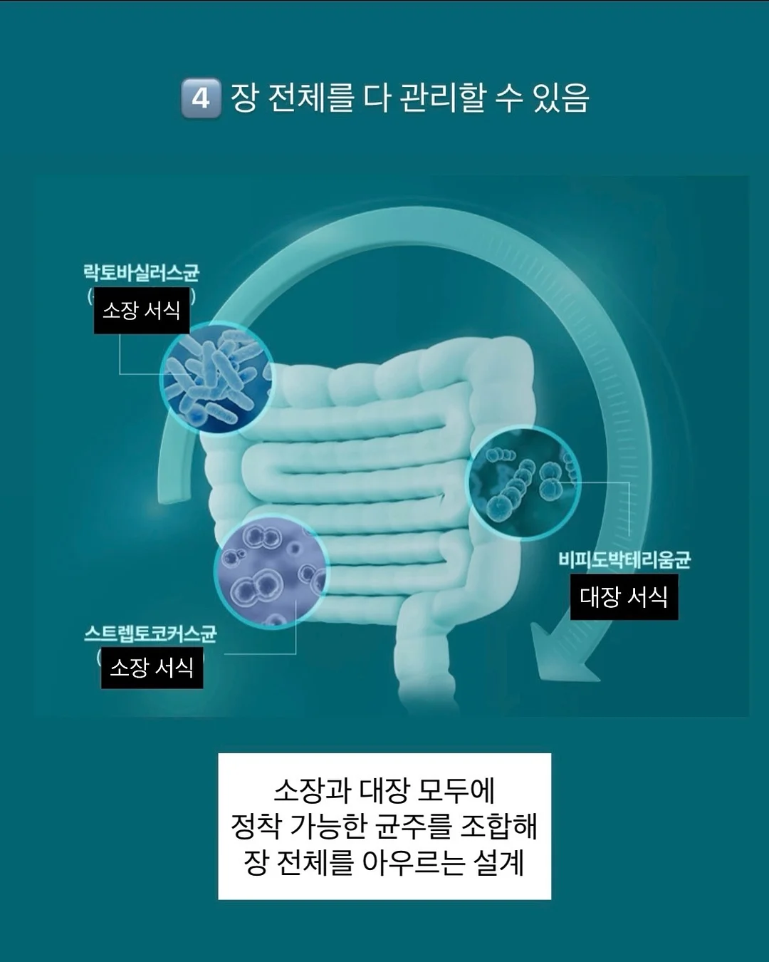 홈스타 핑크파워 욕실 찌든때 클리너, 홈스타 맥스 세면대 배수관 클리너 12