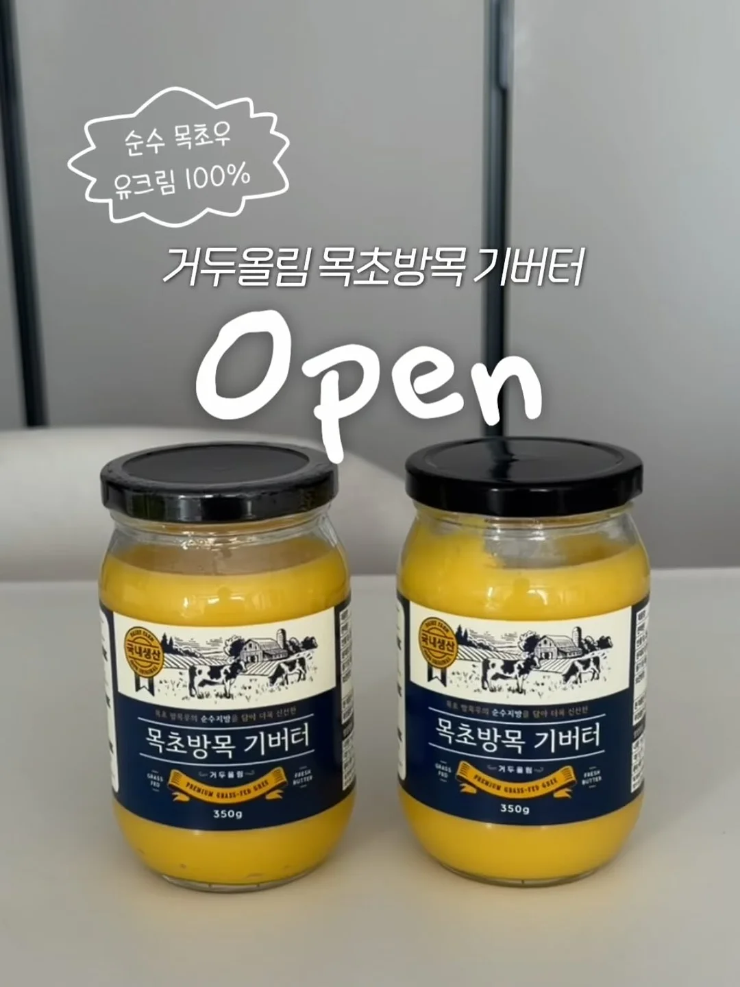뱅갈고무나무 1